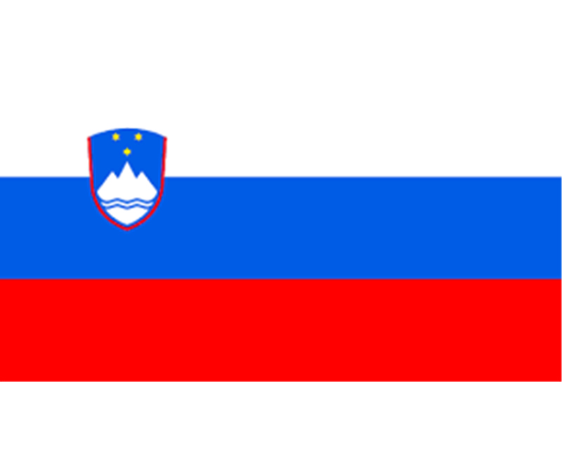 Slovenia flag