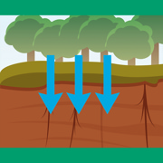 TourTurf ELL Respond Extreme Long Lasting Wetting Agent