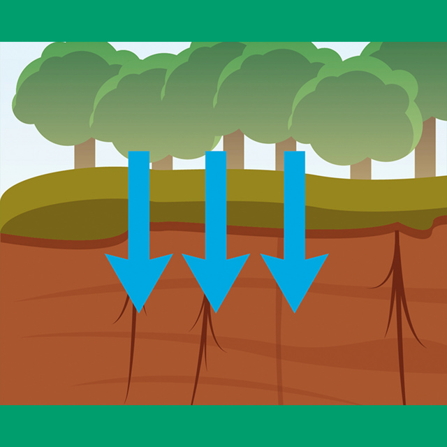 TourTurf ELL Respond Extreme Long Lasting Wetting Agent