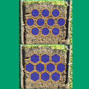 TourTurf ELL Respond Extreme Long Lasting Wetting Agent