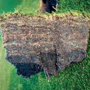 TourTurf® Thatch-Less® ETD Enzyme Thatch Degrader 