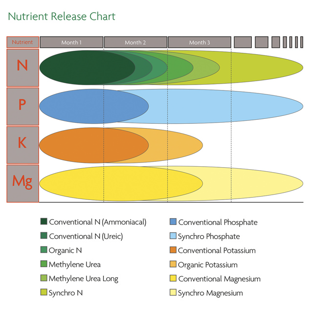 TourTurf Excel Multiphase  18-4-8 + 1% MgO (Tee Grade)