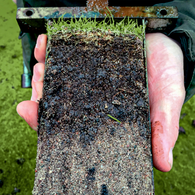 TourTurf® Thatch-Less® FTD Fungi Thatch Degrader 