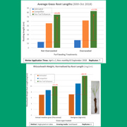 TourTurf® FTE Respond® Extreme Fine Turf Enhancer Wetting Agent  