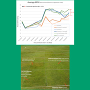 TourTurf® FTE Respond® Extreme Fine Turf Enhancer Wetting Agent  
