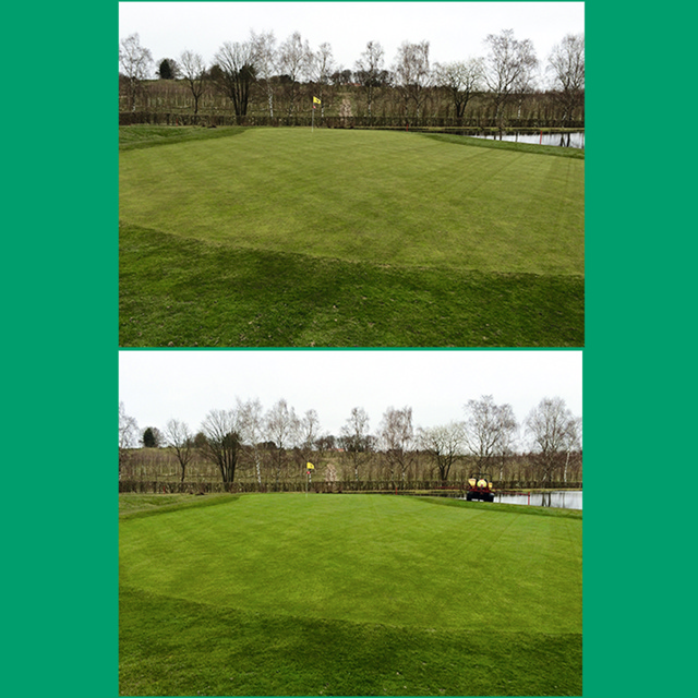 TourTurf® GTP Green Turf Paint 