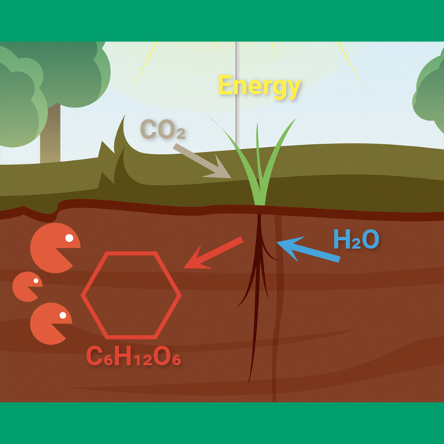 TourTurf Thatch-Less MCB MolCarb 1-0-4 + 60% Carbo