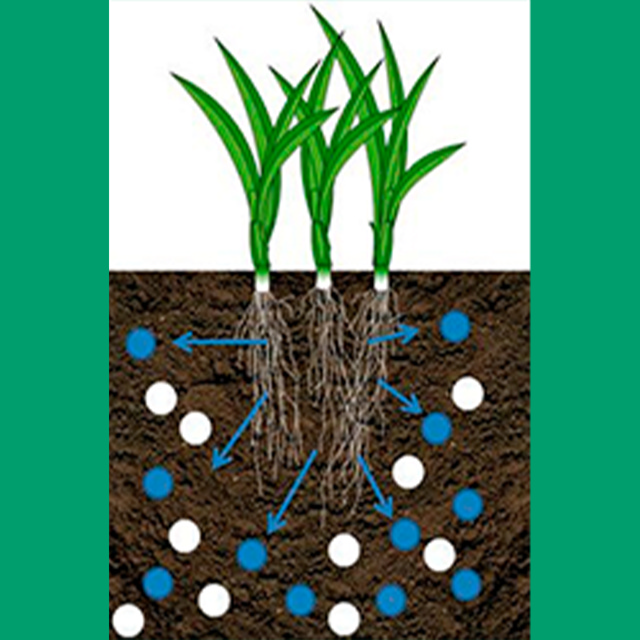 TourTurf TSF Turf Salt Flush 7-0-0 + 11% CaO
