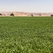 TourTurf® ADA Anti-Drift Agent