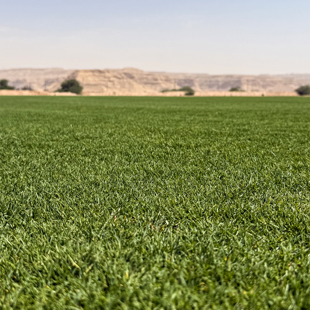 TourTurf® ADA Anti-Drift Agent